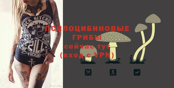 стаф Алексеевка