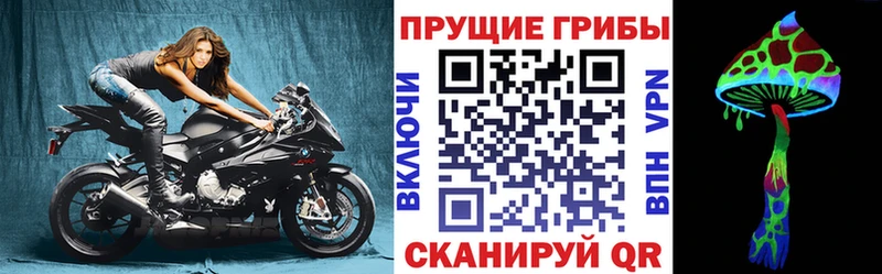 Псилоцибиновые грибы Psilocybe  Лобня 