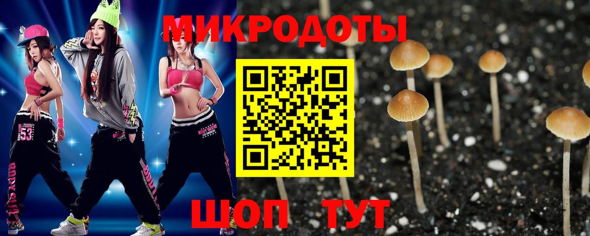 Псилоцибиновые грибы Psilocybine cubensis Лобня