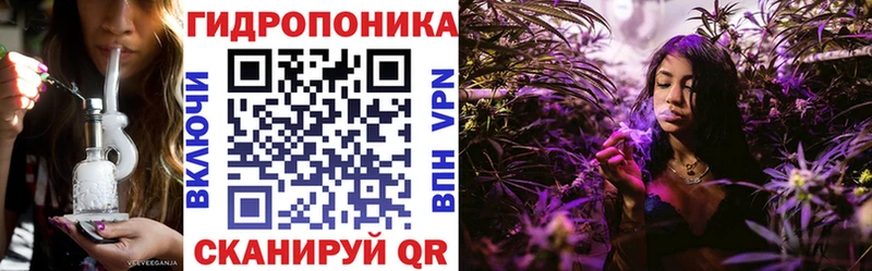 Бошки марихуана OG Kush Лобня